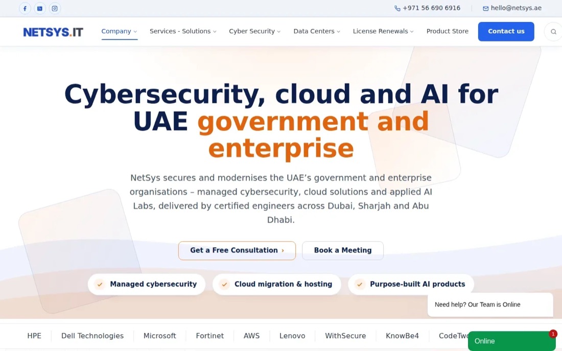 NetSys IT website homepage, managed IT services for UAE businesses