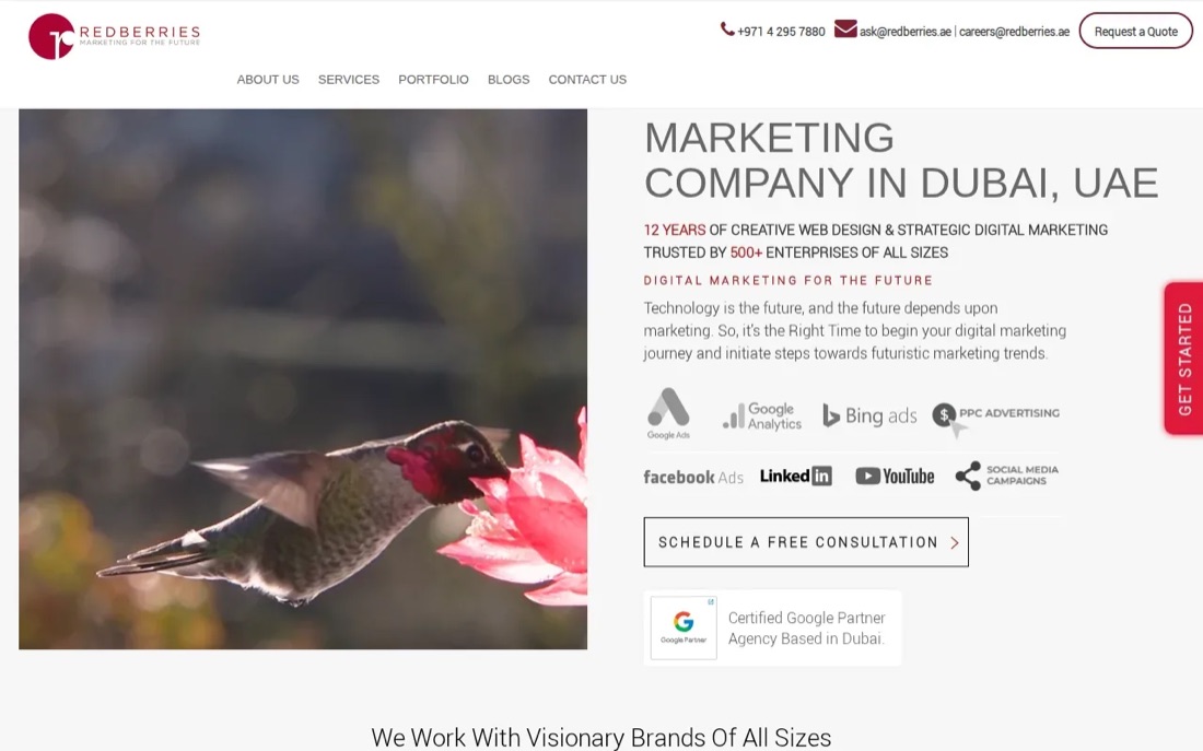 Red Berries website homepage, a Dubai marketing and SEO company