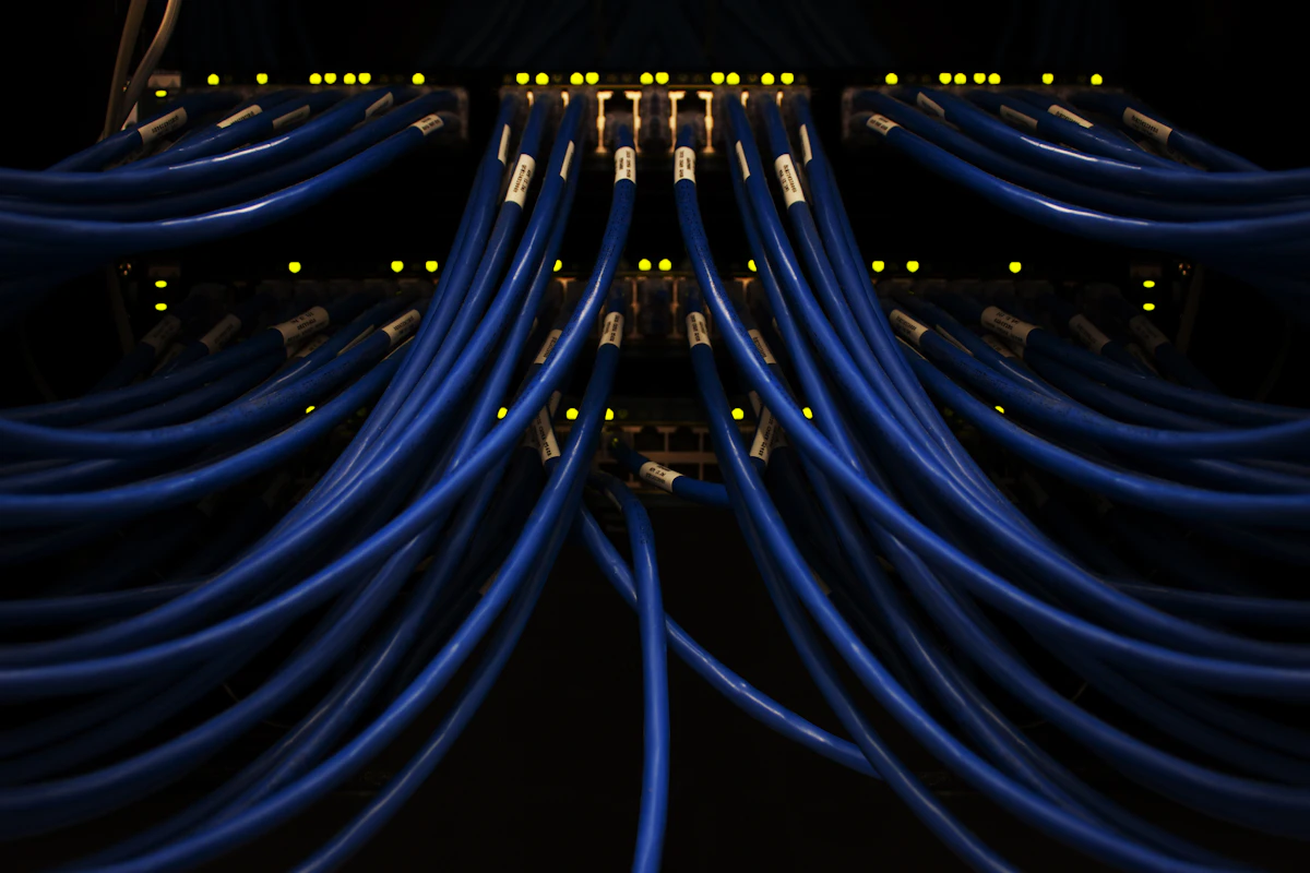 Dozens of blue patch cables fanning out from a dark patch panel, port lights glowing behind them